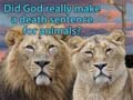 God's Death Sentence - Did He really condemn animals too?