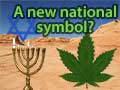 A new national symbol for Israel and the church - The cannabis leaf?