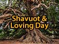 Shavuot and Loving Day - God Connects Them To Save Judaism From Herself